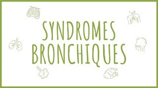 Sémiologie Respiratoire  Introduction aux Syndromes Bronchiques [upl. by Thayne912]