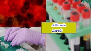 Albumin Levels – High Low Normal Range [upl. by Nosnibor]