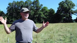 Beginner Tips for Raising Grassfed Beef [upl. by Rawdan359]