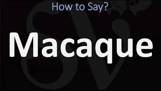 How to Pronounce Macaque CORRECTLY [upl. by Hgeilyak]