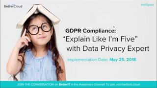 GDPR Compliance “Explain Like I’m Five” with Data Privacy Expert [upl. by Nakada649]