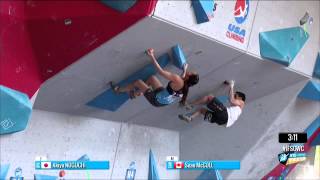 Best of IFSC 2014  Hard Boulder Problems 2 [upl. by Nyladam]