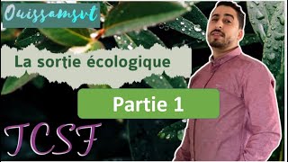 TCSF  La sortie écologique  Partie 1  💯 أبسط ما في الشرح [upl. by Enyalb]