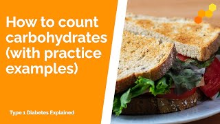 How to Count Carbohydrates with practice examples [upl. by Eiramenna890]