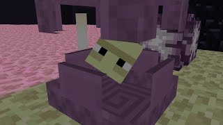 How To Breed Shulkers In Minecraft Shorts [upl. by Mathia]