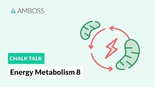 Energy Metabolism  Part 8 Anaerobic vs Aerobic Metabolism [upl. by Auqeenwahs]