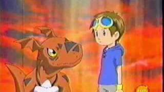 Takato and Guilmon biomerging to Gallantmon [upl. by Leftwich]