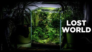 My LostWorld nano tank  The ultimate nature aquarium for beginners [upl. by Llenrap]