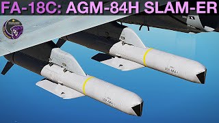 FA18C Hornet AGM84H SLAMER PPTOOSingleRipple Tutorial  DCS WORLD [upl. by Calla621]