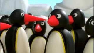 Pingu amp Friends IT [upl. by Schroder]