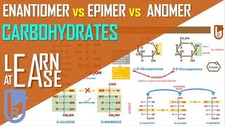 Enantiomer vs Epimer vs Anomer Carbohydrates [upl. by Pike]