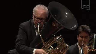 Tuba Tiger Rag in Budapest  Canadian Brass [upl. by Ijuy996]