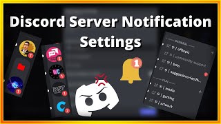 Discord Server Notification Settings [upl. by Goer]