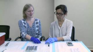 How to Use the Alere Filariasis Test Strip FTSEnglish 04 [upl. by Collum948]