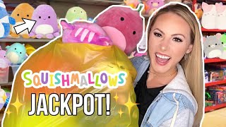 SQUISHMALLOW HUNT WITH ME 😱😍 I HIT THE JACKPOT [upl. by Marin]