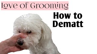 How to Dematt a Dogs Ear  Dematting a Dog [upl. by Vasiliu]