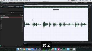 How To Process a Voice Over in Adobe Audition [upl. by Nuahsyt]