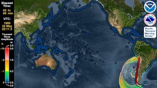 Tsunami Forecast Model Animation Chile 1960 [upl. by Dagney]