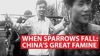 When Sparrows Fall Chinas Great Famine  Asian Century [upl. by Einhpad]