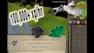 OSRS How to 3 Tick Barbarian Fish  THE EASIEST WAY [upl. by Anuaik944]