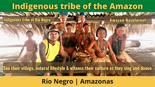 Brazil Travel  Indigenous tribe of the Amazon [upl. by Leuqim]