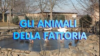 GLI ANIMALI DELLA FATTORIA [upl. by Doersten]