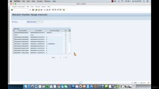 010 Defining Number Ranges for Material Types in SAP MM [upl. by Daza]