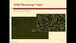 How Does a DNA Microarray Work [upl. by Takashi]