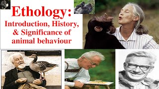 Ethology  Animal Behaviour  Introduction of Ethology History of Ethology Psychology and Ethology [upl. by Xylon]