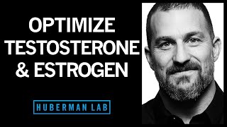 The Science of How to Optimize Testosterone amp Estrogen [upl. by Sanoj]