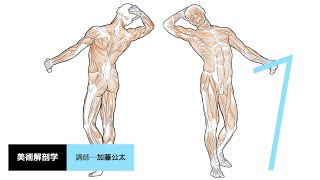 トライアル授業動画「美術解剖学」担当教員：加藤公太 【京都芸術大学 通信教育部 イラストレーションコース】 [upl. by Aerdnek]