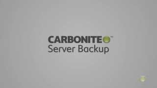 An Introduction to Carbonite Server Backup [upl. by Yaf480]