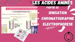 📣Acides Aminés  Ionisation Electrophorèse Chromatographie CHROMATOGRAPHYAMINOACIDS [upl. by Nirad922]