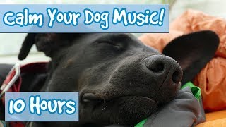 How to Calm Your Dog Down Music Relaxing Music for Dogs to Stop Anxiety and Help Keep them Calm 🐶 [upl. by Pisarik]