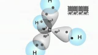 Molecular Shape and Orbital Hybridization [upl. by Gnay]