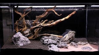 Aquascape ADA 90p  JBL ProScape quotRocky shorequot Step by Step  Nature Aquarium [upl. by Nomaj]