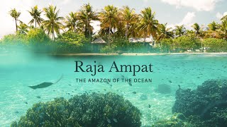 Raja Ampat  The Amazon of the Ocean [upl. by Mairim]