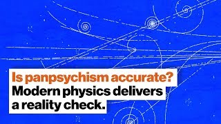 Is panpsychism accurate Modern physics delivers a reality check  Dr Susan Schneider  Big Think [upl. by Tannen]