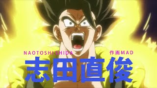 Naotoshi Shida『志田直俊』Sakuga MAD [upl. by Ahsoem]