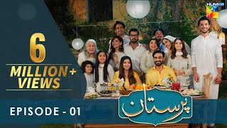 Hum 2 Hamaray 100  Episode 06  AAN TV [upl. by Gosnell]