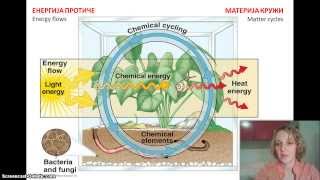 Izokrenuta učionica  Ekosistem [upl. by Hadnama622]