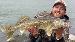 Allegheny River BIG WALLEYE BASS and TROUT [upl. by Helsell]