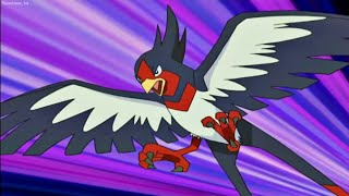 Ashs Taillow evolves into Swellow [upl. by Eda94]