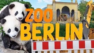 Zoo Berlin  Zoo Eindruck [upl. by Leopoldine]