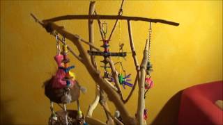 How to make an inexpensive parrot tree play stand [upl. by Anilehcim310]