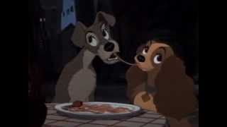 Lady and the Tramp  Trailer 1955 [upl. by Eenar]