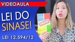 INTRODUÇÃO AO SISTEMA NACIONAL DE ATENDIMENTO SOCIOEDUCATIVO O que é importante saber  Lei 12594 [upl. by Adrell]