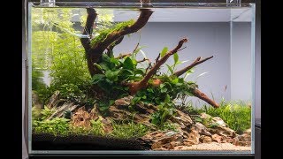 NonCO2 Aquascape Tutorial  How to Set Up an Easy Low Energy Aquascape [upl. by Kraul]