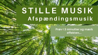 Afspændingsmusik  Meditationsmusik  Stille Musik [upl. by Eidua]