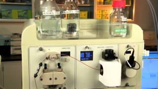 Plumbing the NGC™ Discover Liquid Chromatography System [upl. by Nelra891]